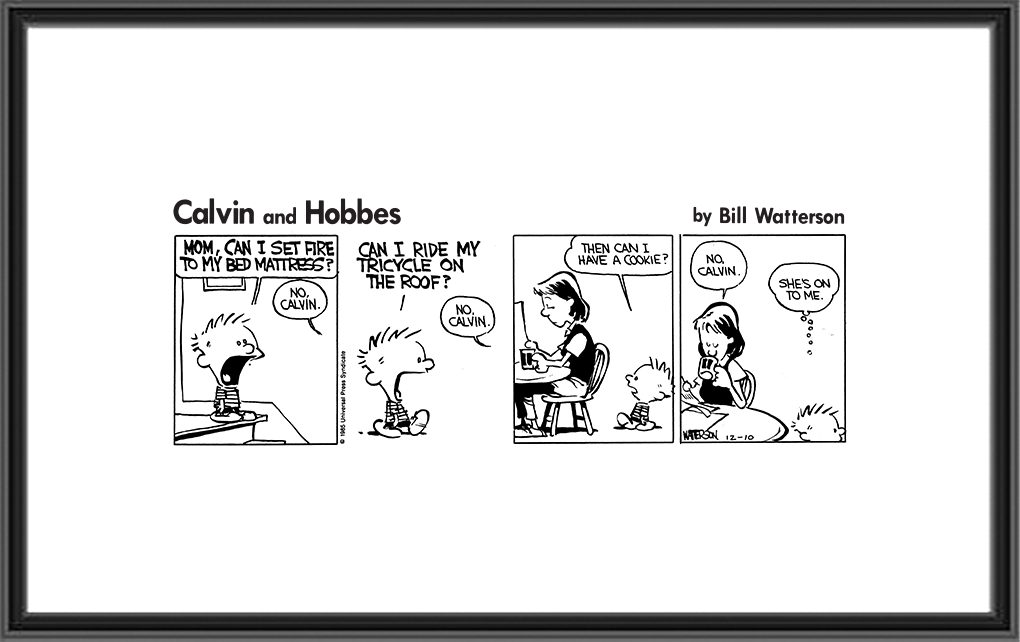 Calvin and Hobbes - Dec 10th, 1985 - No Calvin - Comic Art Print - GoComics...