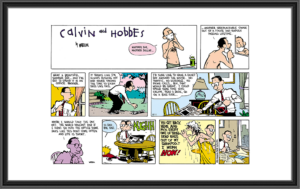 A Calvin and Hobbes comic strip titled 'Bugs in Shampoo'