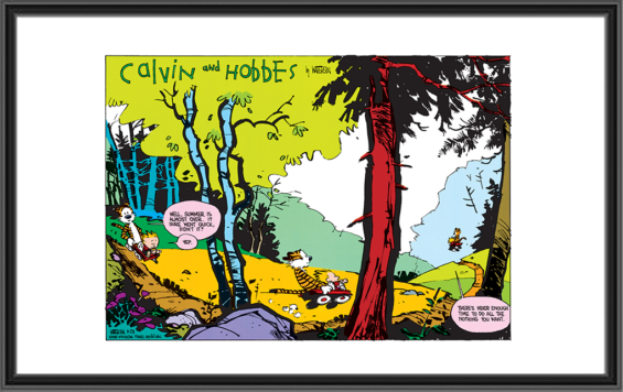 Calvin and Hobbes - Aug 28th, 1988 - Summer - Comic Art Print